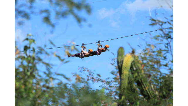Zipline