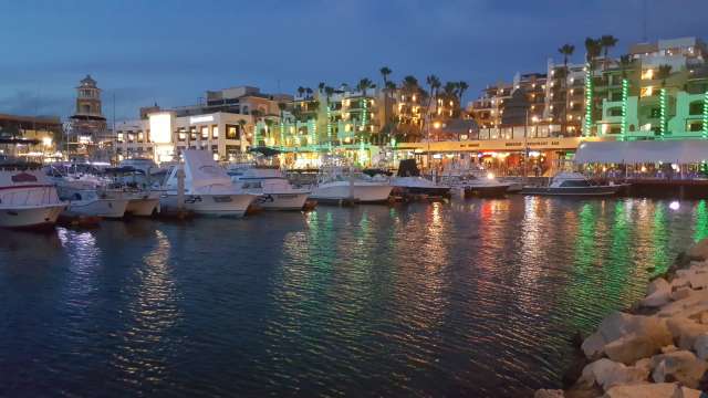 marina at night