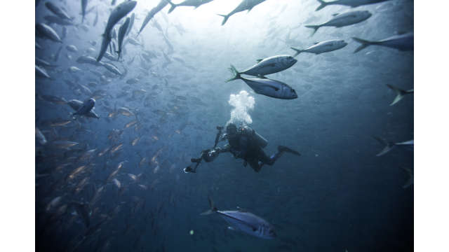 scuba cabo pulmo