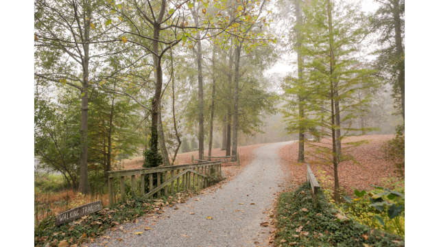 Lockerly Arboretum Fall