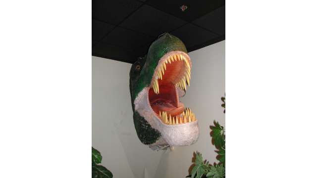 GCSU Museum of Natural History