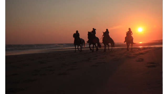 Horseback Riding