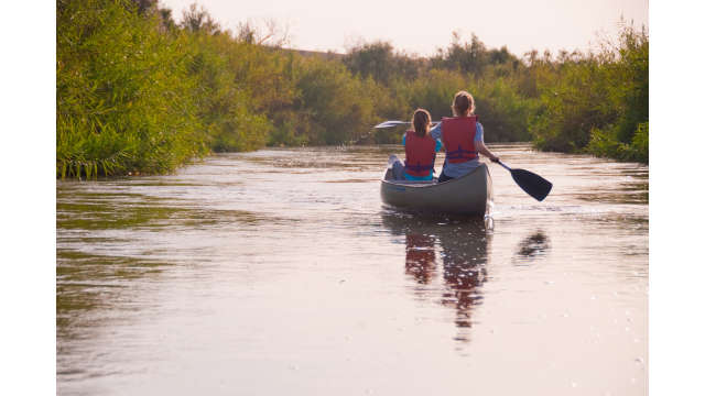 Canoers early morn river water dripping from paddle stroke