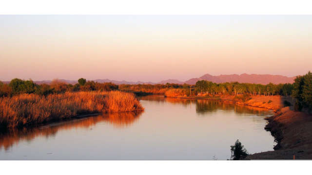 East Wetlands at the Colorado River in Yuma, Arizona