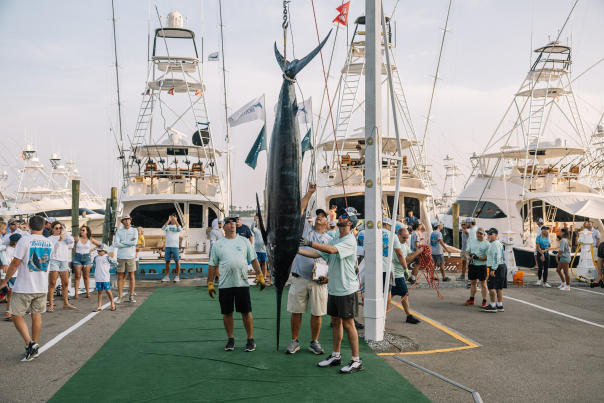 Billfish Classic