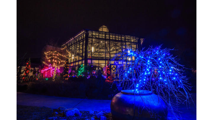 Cape Fear Botanical Garden Christmas Lights