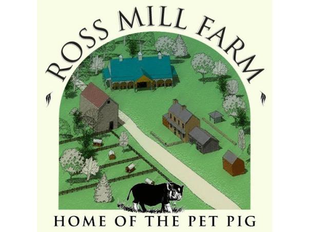 Ross warminster cheap pa hours
