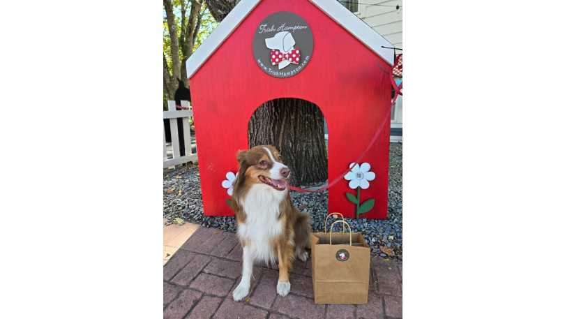 Trish Hampton Boutique 1