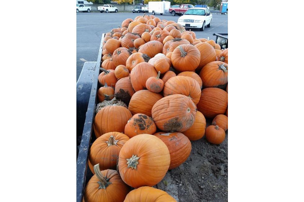 Spanish Fork Farmers Market 2