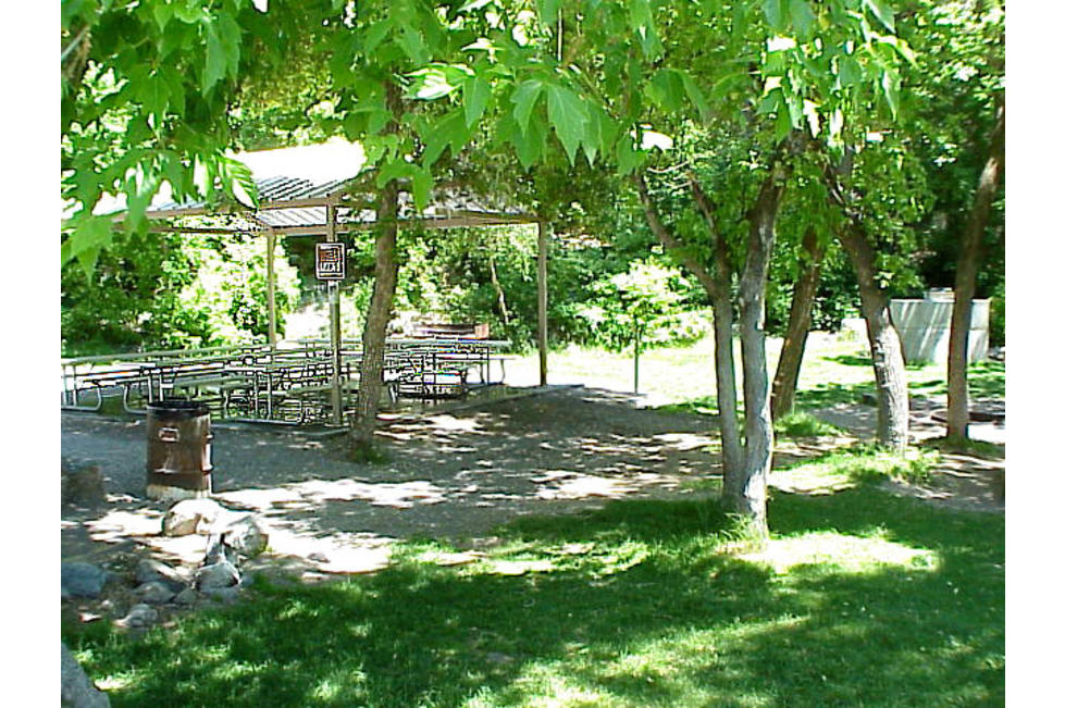 Group Pavillion