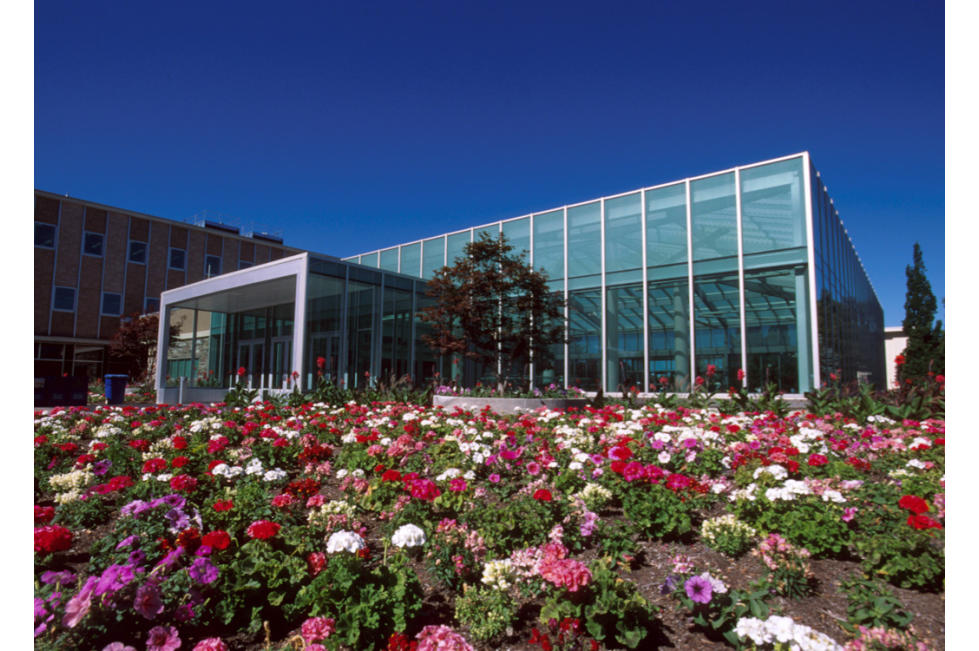 Library by Flowers