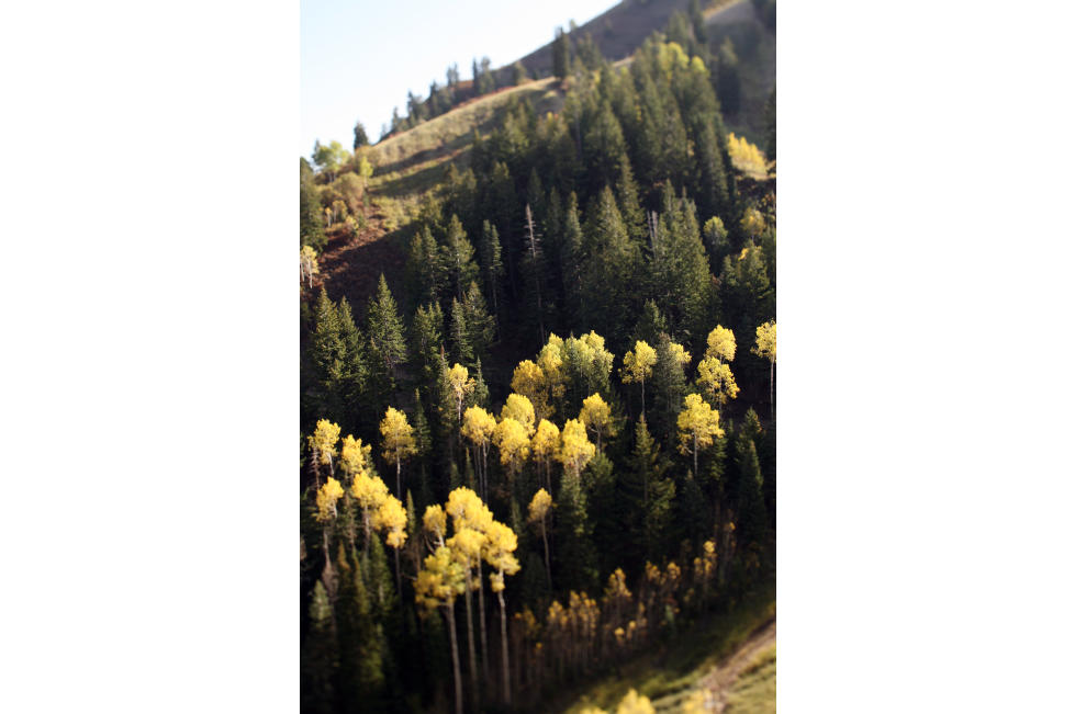 SundanceLift3