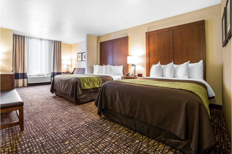 Guest Bed