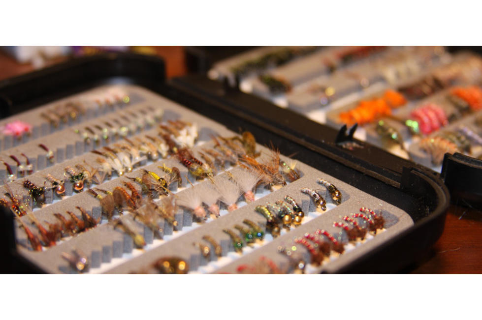 Wasatch Guide Services