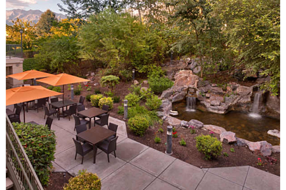Exterior Garden
