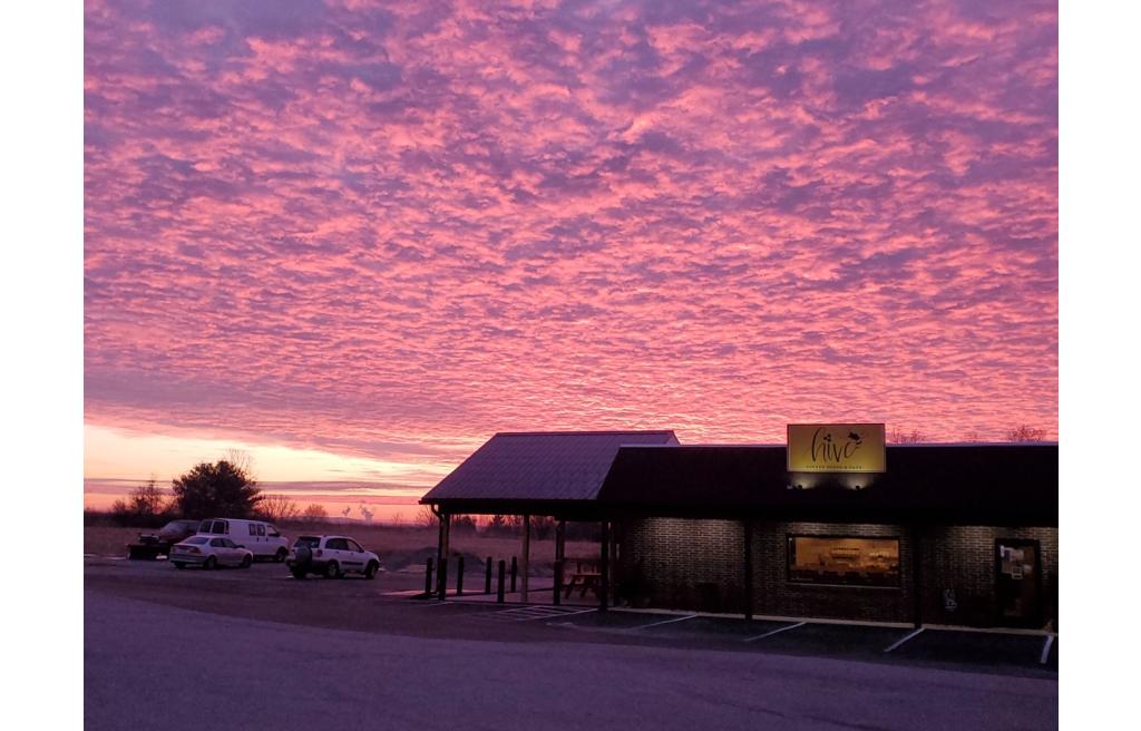 The Hive Coffee House & Cafe York, PA 17408