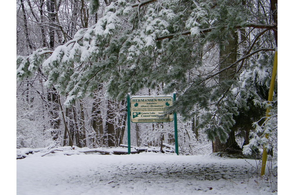 Hermansen Woods