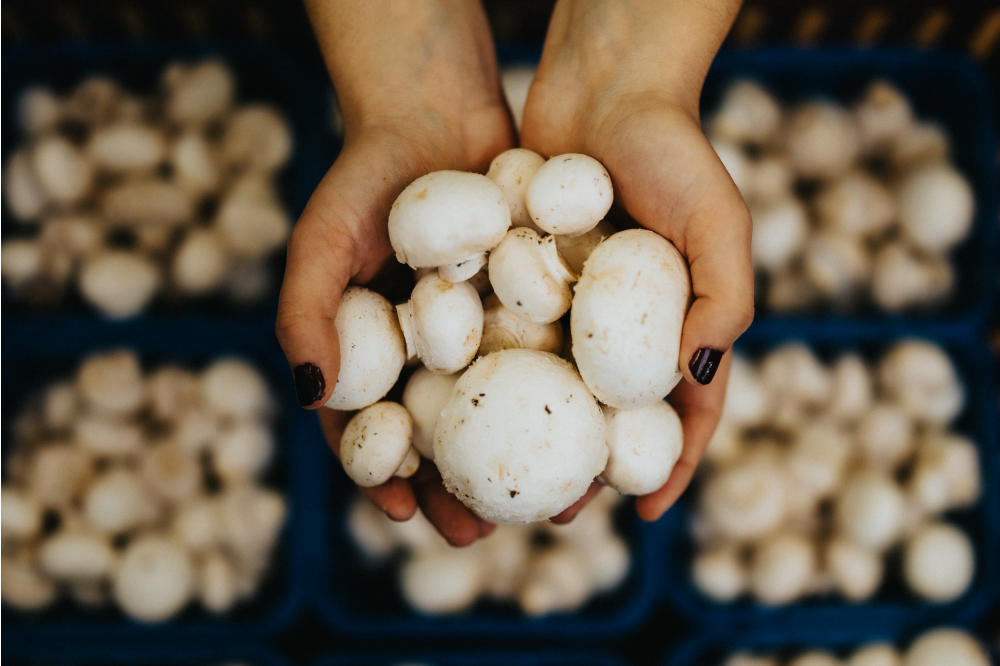 Holding White Mushrooms