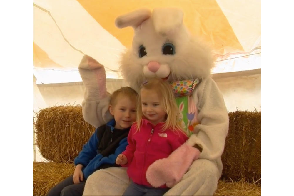 Bunny Trains Deliver Family Fun