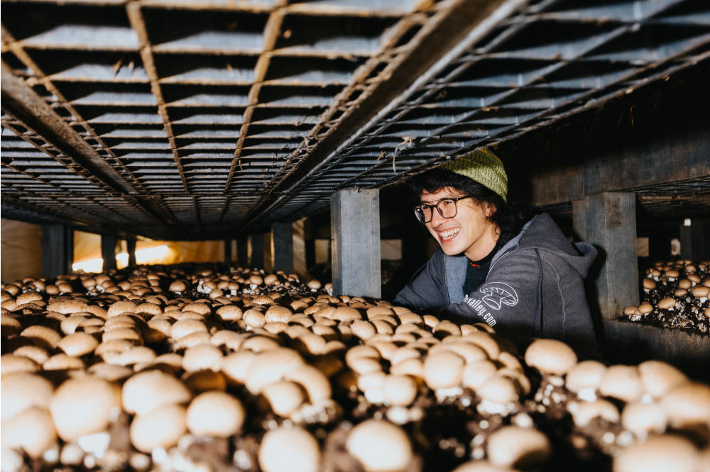 Dak in Mushroom Growhouse