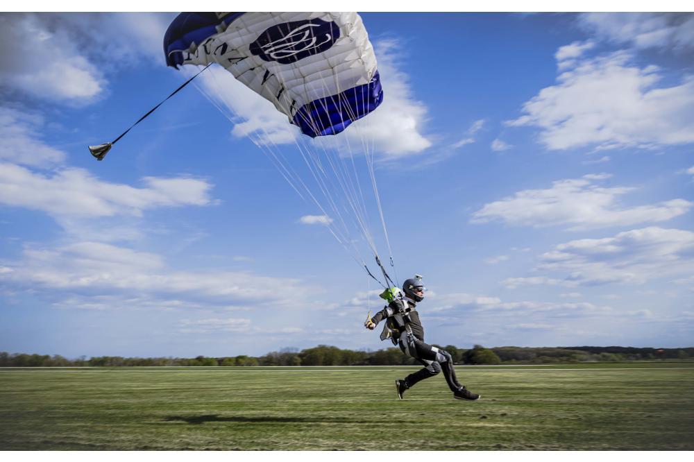 Swooping Into Summer!