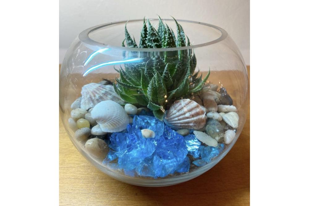 Mini Succulent Terrarium