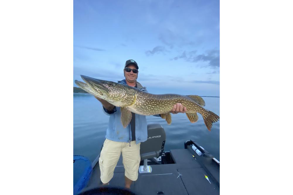 fish15