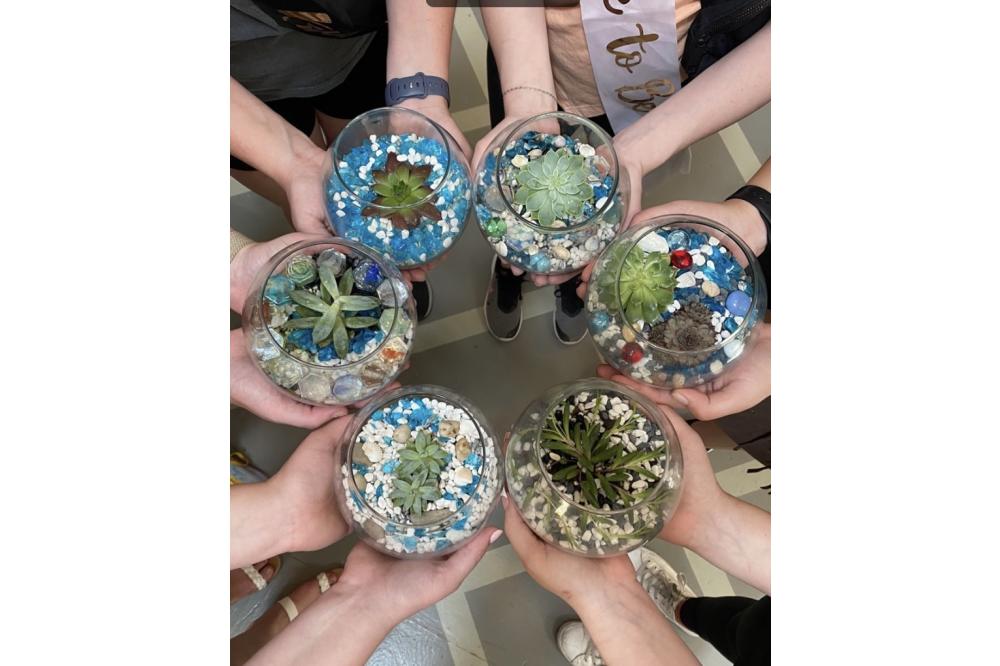 Plant Parties