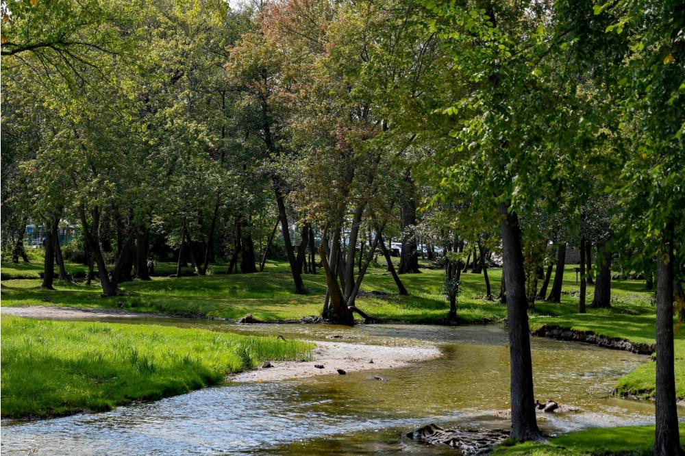 Samuel Donian Creek
