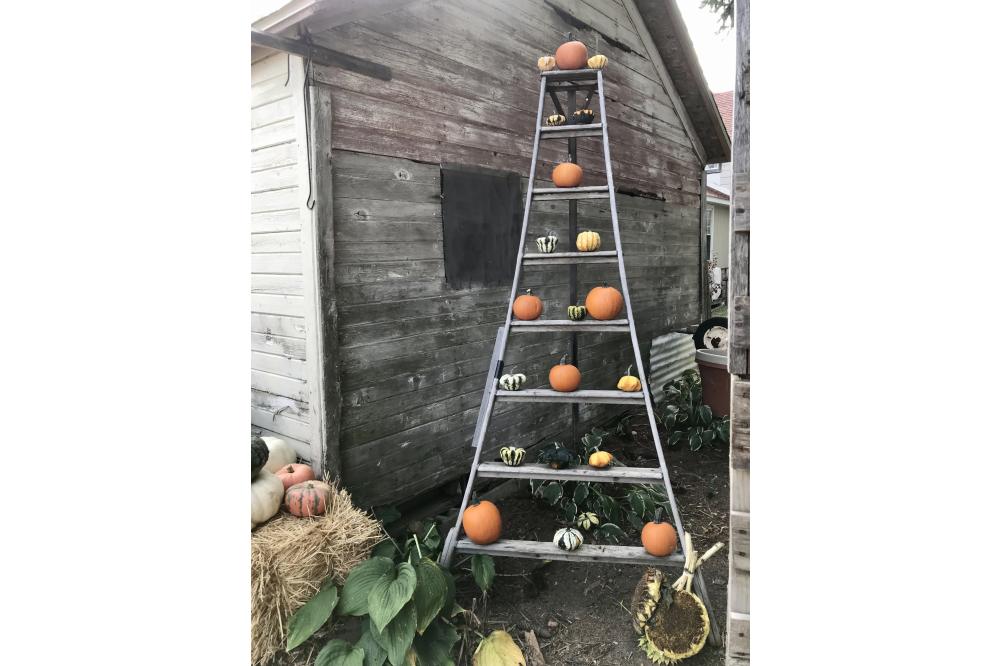 Ladder with Gourds