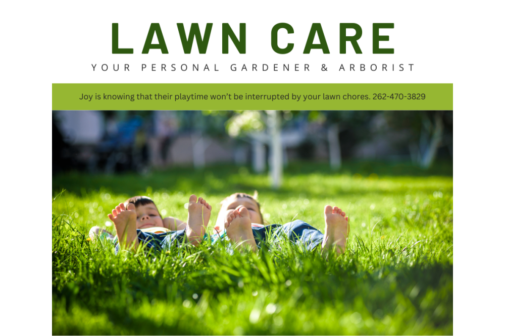 lawn