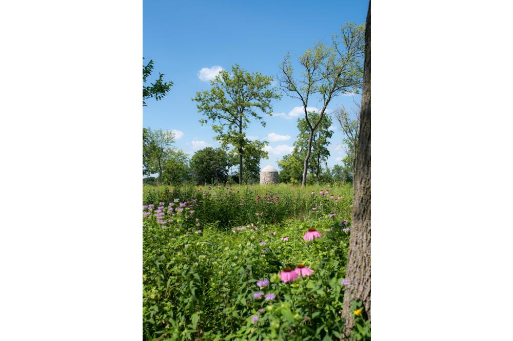 Linn Park Image 3
