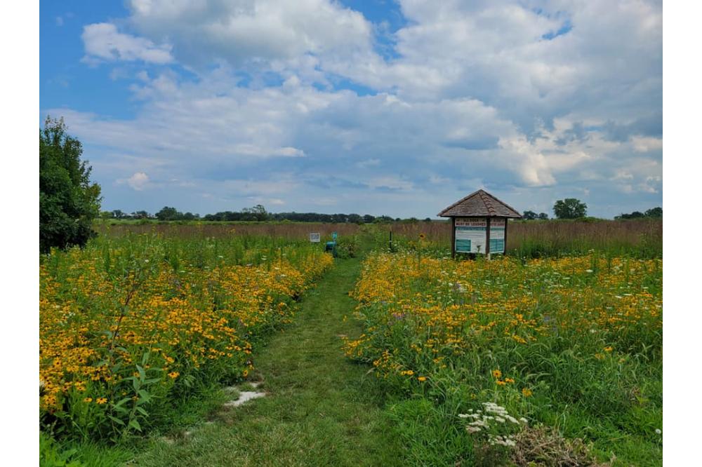 Linn Park Image 1