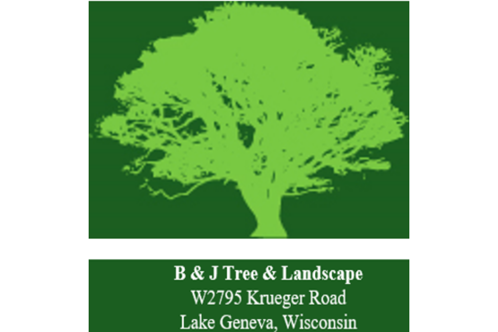 logo with address