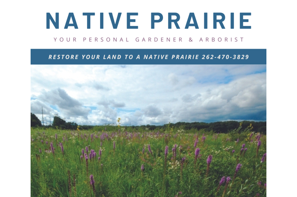 native prairie