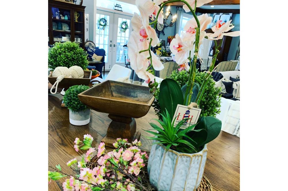 Table Plants
