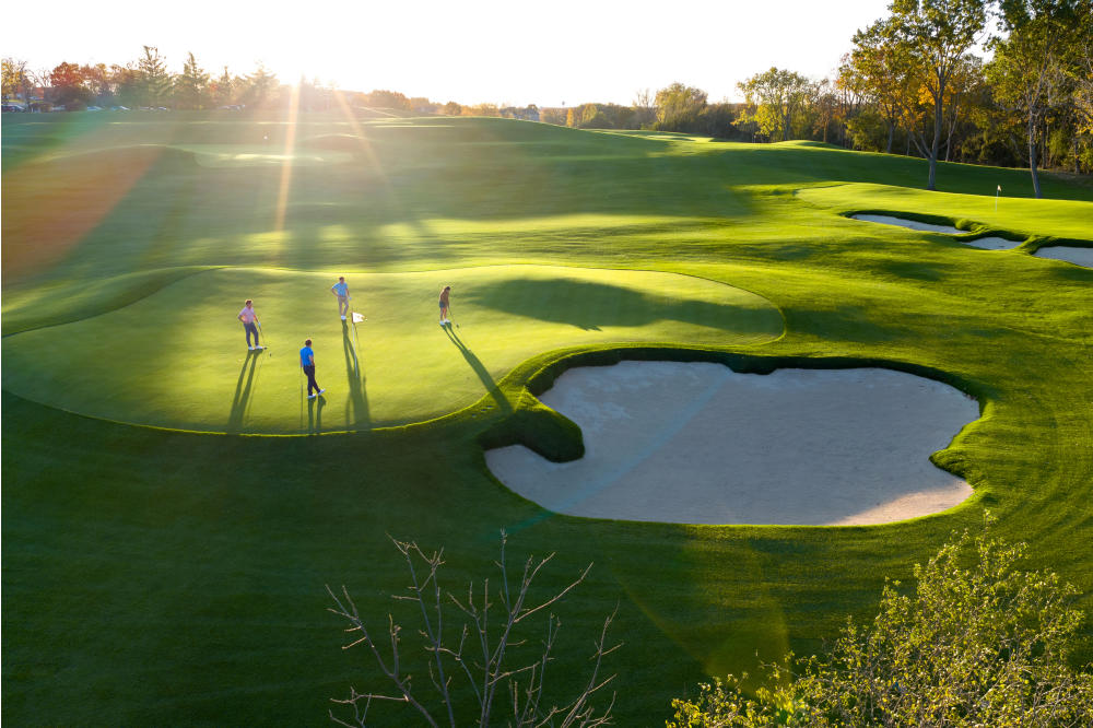 Wee Nip Short Course