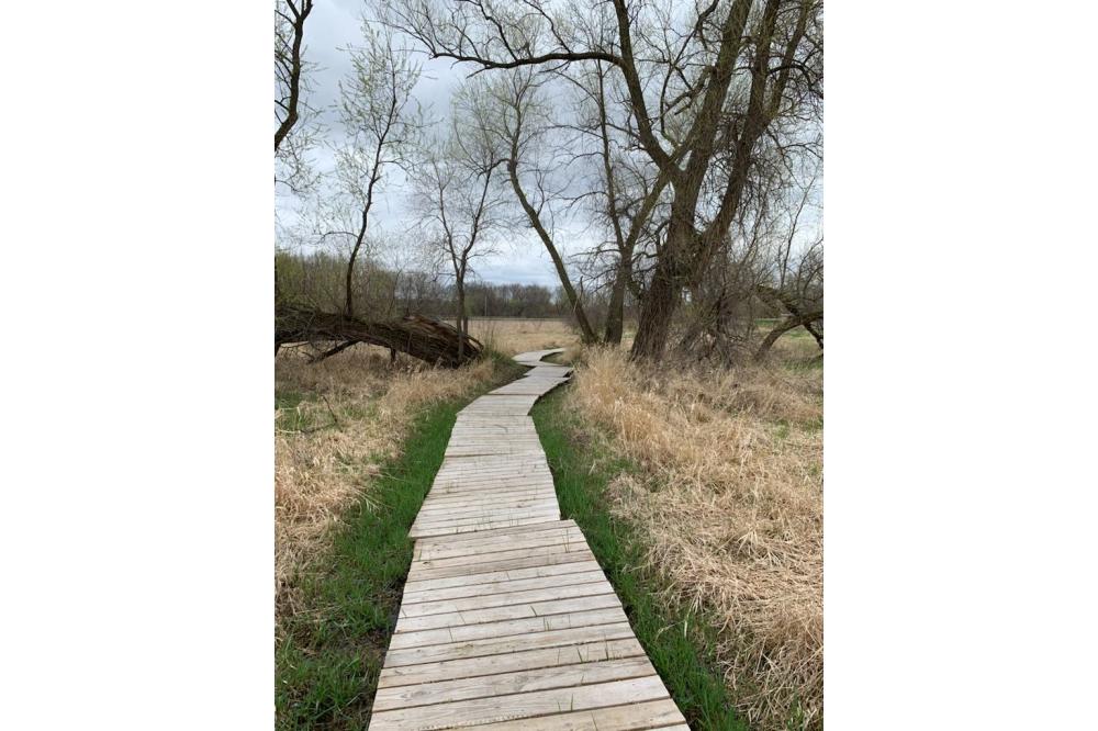 Hansen Preserve