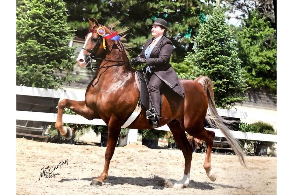 caitlin on horseback