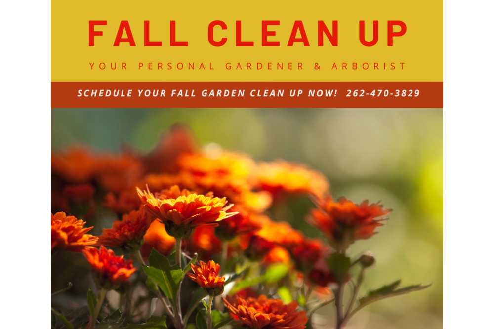 fall clean up