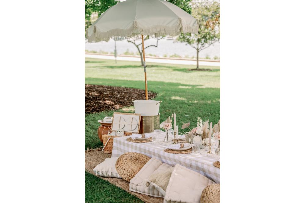 neutral picnic