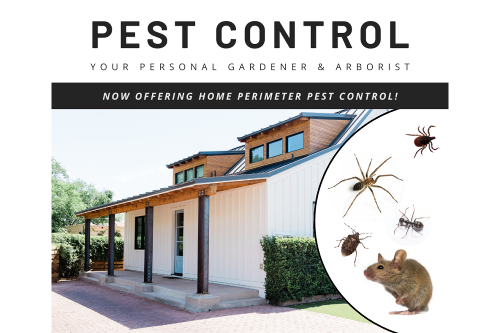 pest control