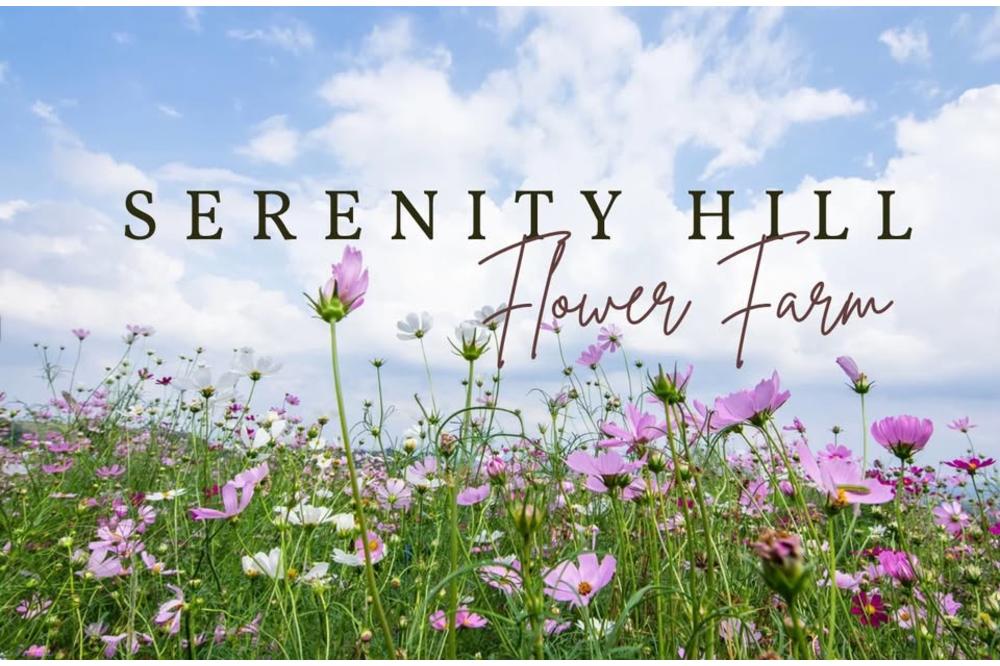 serenity hill flower farm 2