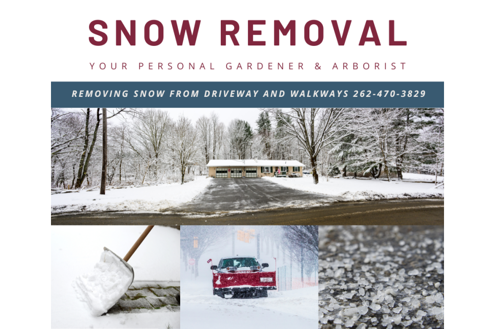 snow removal