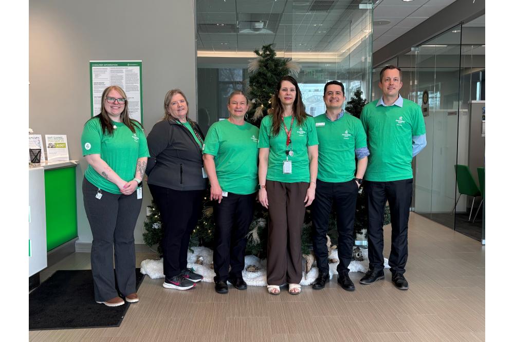 Meet the Team