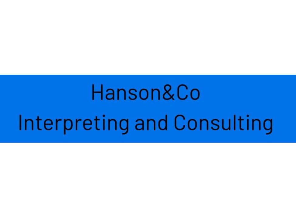 Hanson&Co text logo