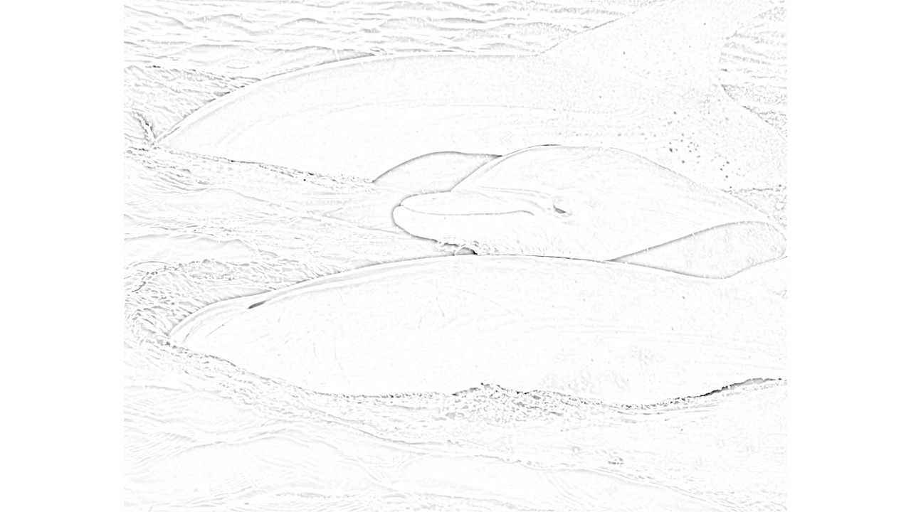 Coloring Pages