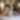 Dog Graduate Hotel Pet Friendly