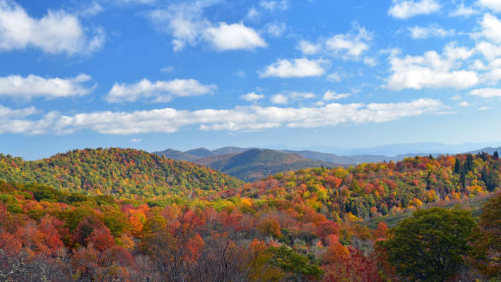 Asheville Blue Ridge Mountains Fall