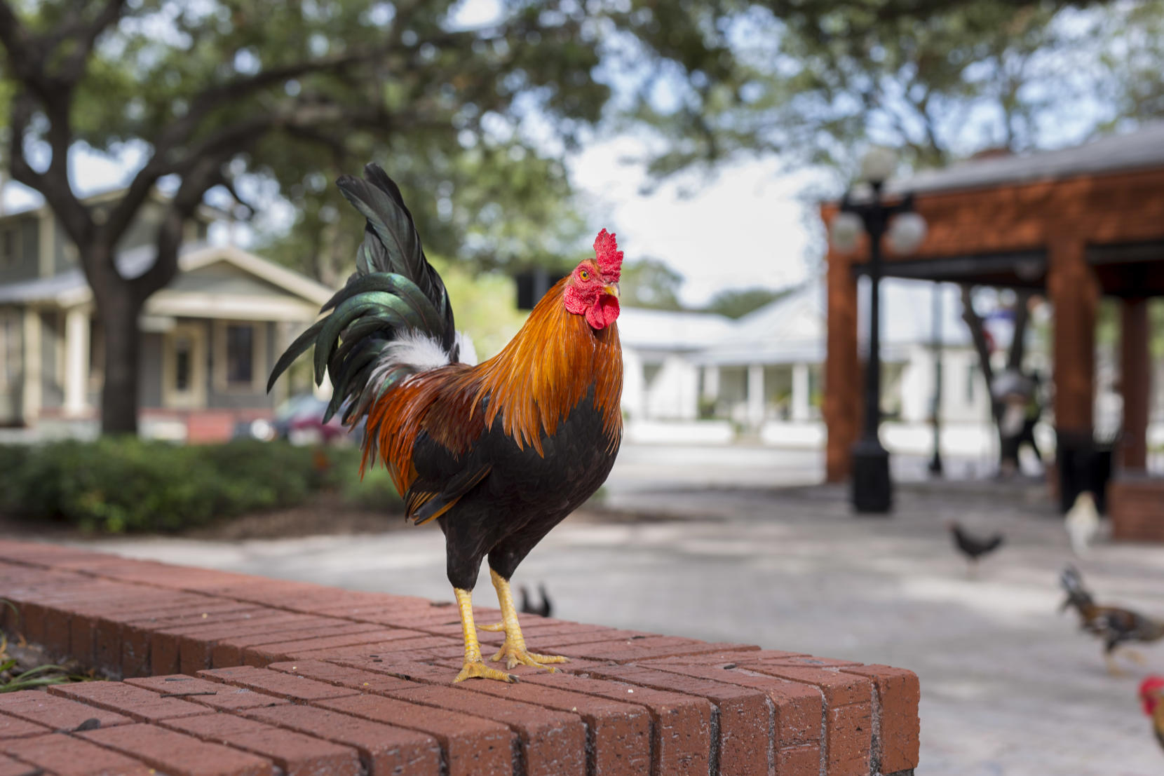 A Guide Through Historic Ybor City